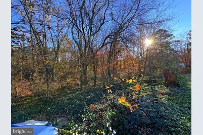 8381 Hurleys Neck Road, Mardela Springs, MD 21837 - Photo 15