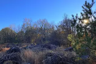 8381 Hurleys Neck Rd, Mardela Springs, MD 21837 - Photo 25