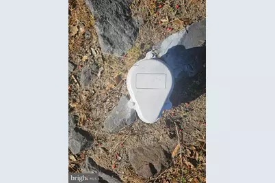 703 Camelia Road, Salisbury, MD 21804 - Photo 45