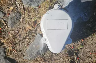 703 Camelia Rd, Salisbury, MD 21804 - Photo 45