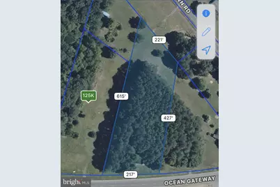 Us Rt 50 Highway, Mardela Springs, MD 21837 - Photo 1