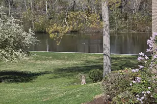 227 Canal Park Dr, Salisbury, MD 21804 - Photo 31