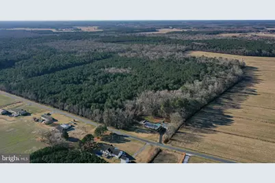 0 Bent Pine Road, Willards, MD 21874 - Photo 7