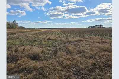 0 Lot 2 Poplar Neck Road, Willards, MD 21874 - Photo 17