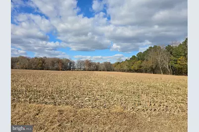0 Lot 2 Poplar Neck Road, Willards, MD 21874 - Photo 1