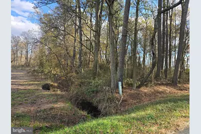 0 Lot 2 Poplar Neck Road, Willards, MD 21874 - Photo 15