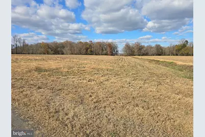 0 Lot 1 Poplar Neck #ROAD, Willards, MD 21874 - Photo 11