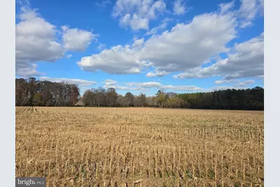 0 Lot 1 Poplar Neck #ROAD, Willards, MD 21874 - Photo 17
