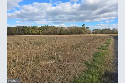 0 Lot 1 Poplar Neck #ROAD, Willards, MD 21874 - Photo 3