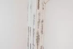 308 N Division St, Salisbury, MD 21801 - Photo 45