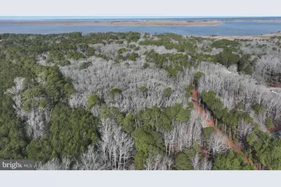 5261 Lankford Road, Quantico, MD 21856 - Photo 5