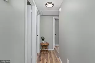 705 Buckingham Cir, Salisbury, MD 21804 - Photo 11