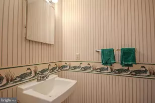 30392 Mallard Dr, Delmar, MD 21875 - Photo 17