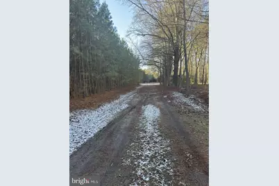 10228 Sharptown Road, Mardela Springs, MD 21837 - Photo 3