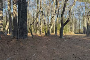 10228 Sharptown Rd, Mardela Springs, MD 21837 - Photo 1