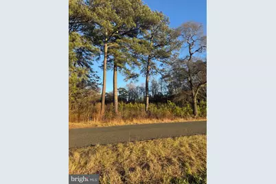 8313 Littleton Road, Willards, MD 21874 - Photo 9