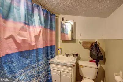 11 W Chestnut Street, Delmar, MD 21875 - Photo 13