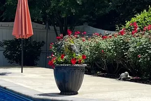 502 Indian Ln, Salisbury, MD 21801 - Photo 73