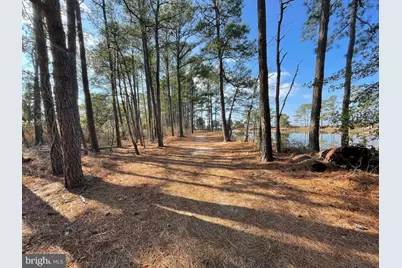 20160 Nanticoke Road, Nanticoke, MD 21840 - Photo 15