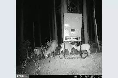 007 Muddy Hole Road, Tyaskin, MD 21865 - Photo 73