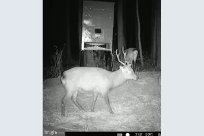 007 Muddy Hole Road, Tyaskin, MD 21865 - Photo 47