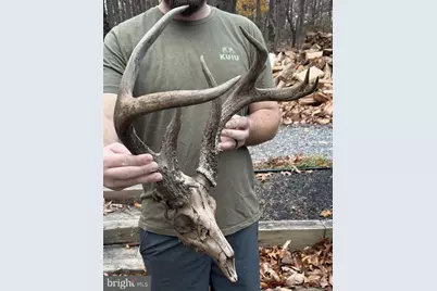 007 Muddy Hole Road, Tyaskin, MD 21865 - Photo 11