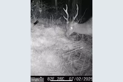 007 Muddy Hole Road, Tyaskin, MD 21865 - Photo 83