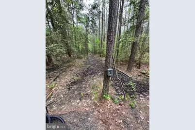 007 Muddy Hole Road, Tyaskin, MD 21865 - Photo 45