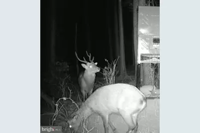 007 Muddy Hole Road, Tyaskin, MD 21865 - Photo 53