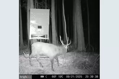 007 Muddy Hole Road, Tyaskin, MD 21865 - Photo 59