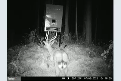 007 Muddy Hole Road, Tyaskin, MD 21865 - Photo 81