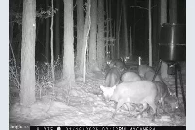 007 Muddy Hole Road, Tyaskin, MD 21865 - Photo 93