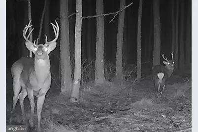 007 Muddy Hole Road, Tyaskin, MD 21865 - Photo 1