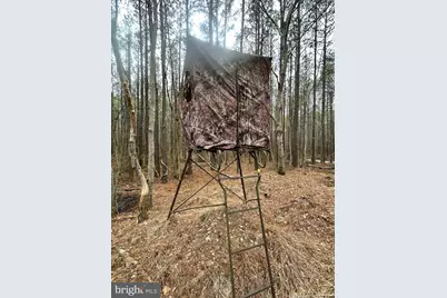 007 Muddy Hole Road, Tyaskin, MD 21865 - Photo 27