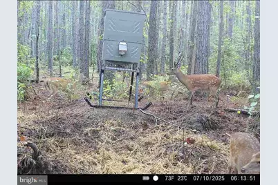 007 Muddy Hole Road, Tyaskin, MD 21865 - Photo 77