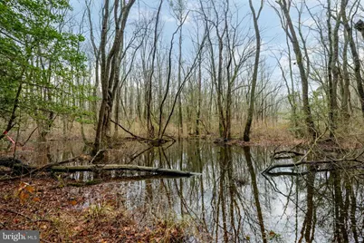 31019 Wilton Avenue, Salisbury, MD 21804 - Photo 35