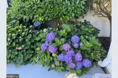 315 S Camden Avenue, Fruitland, MD 21826 - Photo 31