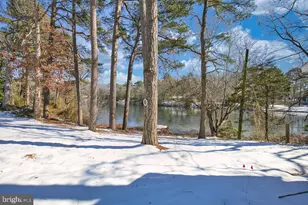 8535 E Marlboro Dr, Delmar, MD 21875 - Photo 63