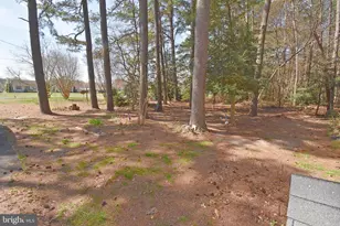 31540 Melson Rd, Delmar, MD 21875 - Photo 39