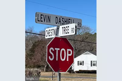0 Levin Dashiell Road, Hebron, MD 21830 - Photo 9