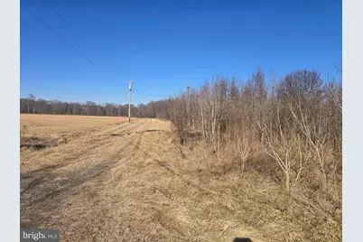 7593 West Street, Willards, MD 21874 - Photo 5