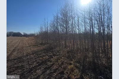 7593 West Street, Willards, MD 21874 - Photo 11