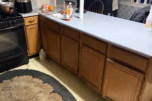 210 Green St, Fruitland, MD 21826 - Photo 5