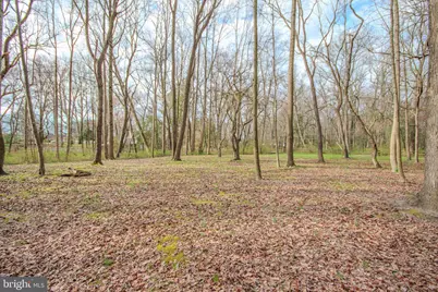 703 Parker Road, Salisbury, MD 21804 - Photo 49