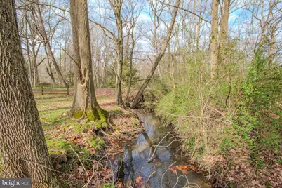 703 Parker Road, Salisbury, MD 21804 - Photo 47