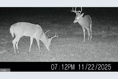 6020 Catchpenny Road, Quantico, MD 21856 - Photo 5