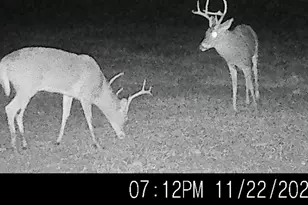 6020 Catchpenny Rd, Quantico, MD 21856 - Photo 5