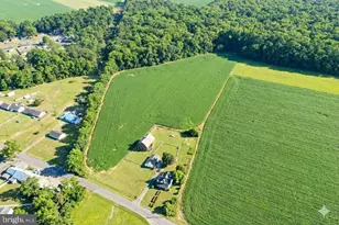 210 Chestnut Tree Rd, Hebron, MD 21830 - Photo 5