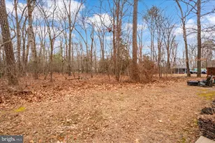 28149 Pathfinder Ct, Salisbury, MD 21801 - Photo 53