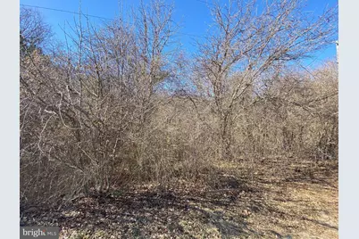 0 Hammond School Road, Salisbury, MD 21804 - Photo 3